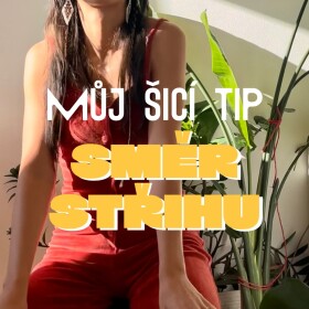 Můj šicí tip - referenční linie - směr střihu.
#prosikulkycz #sitijakozivotnistyl #sijemeslaskou #sicitip